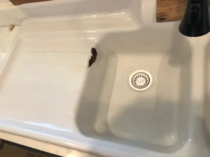 damaged sink